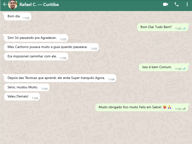 Depoimento WhatsApp 2